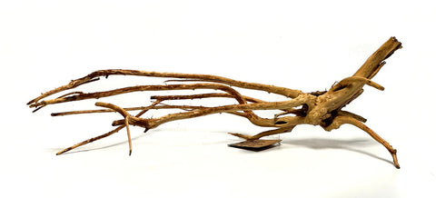 SR Aquaristik Weathered Spider Wood Large 40-50cm /  20"-24" - SRA 6325